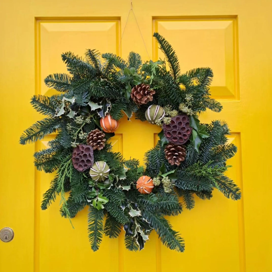 Real Christmas Wreath Decorated Finnegan Christmas Trees